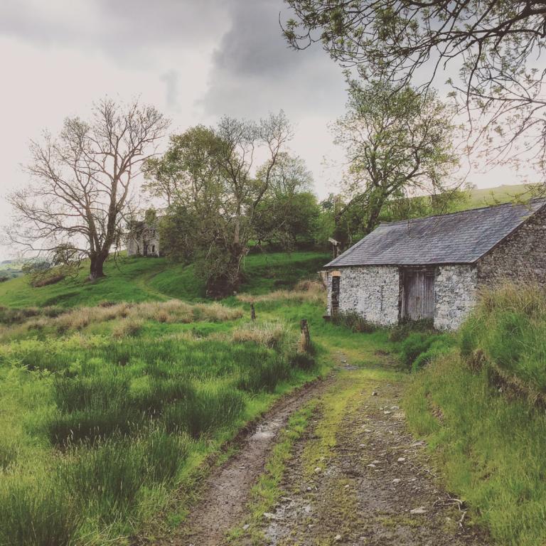 Maes Y Gwaelod Bed & Breakfast Llanwrtyd Wells Ngoại thất bức ảnh