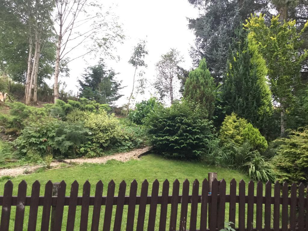 Maes Y Gwaelod Bed & Breakfast Llanwrtyd Wells Ngoại thất bức ảnh