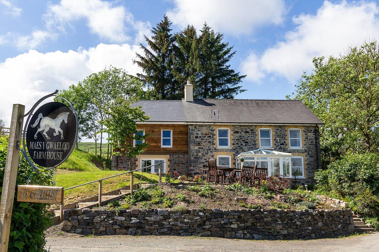 Maes Y Gwaelod Bed & Breakfast Llanwrtyd Wells Ngoại thất bức ảnh